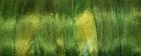 Hand Dyed Silk Ribbon G50